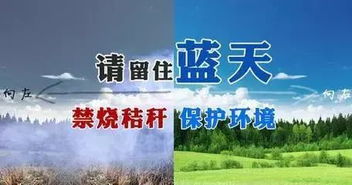 呵護山水林田湖草生命共同體——張掖整體推進祁連山生態(tài)修復與環(huán)境保護監(jiān)測